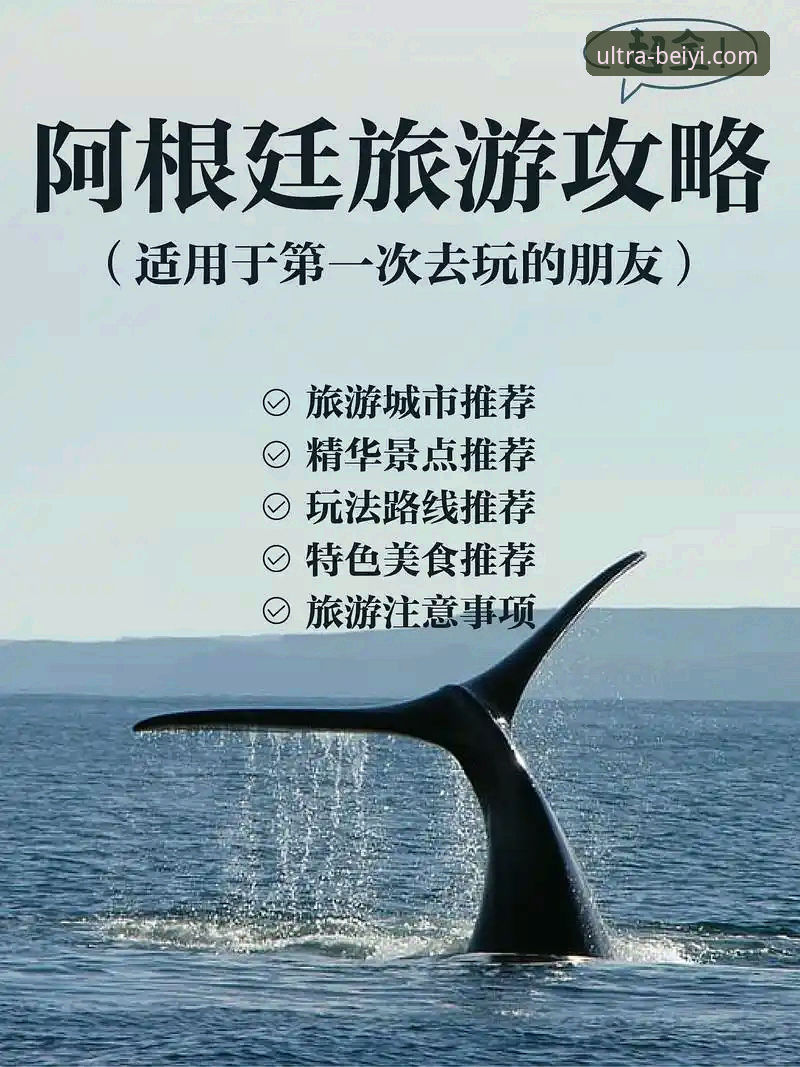 必一安卓安装必备全面解析：从下载到极致运动体验的深度指南